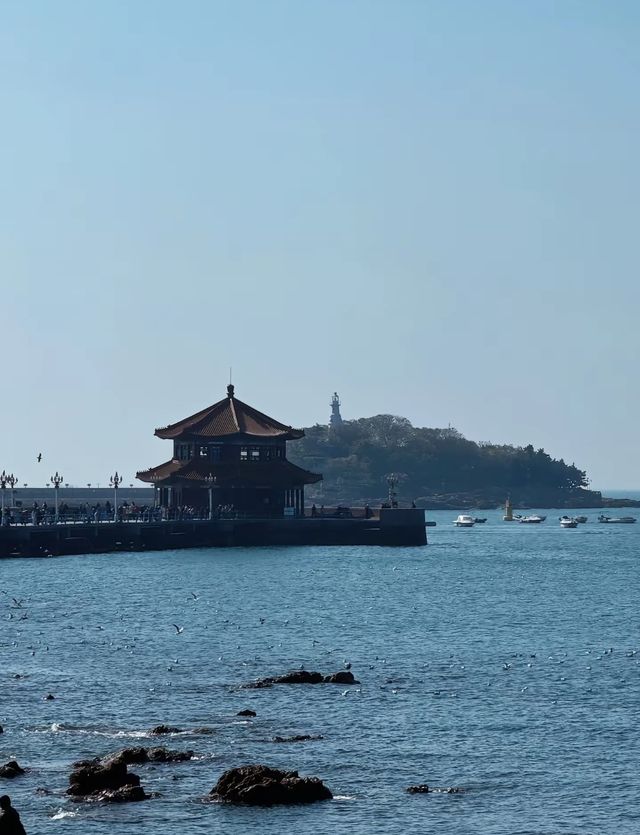青島七日遊玩攻略來了