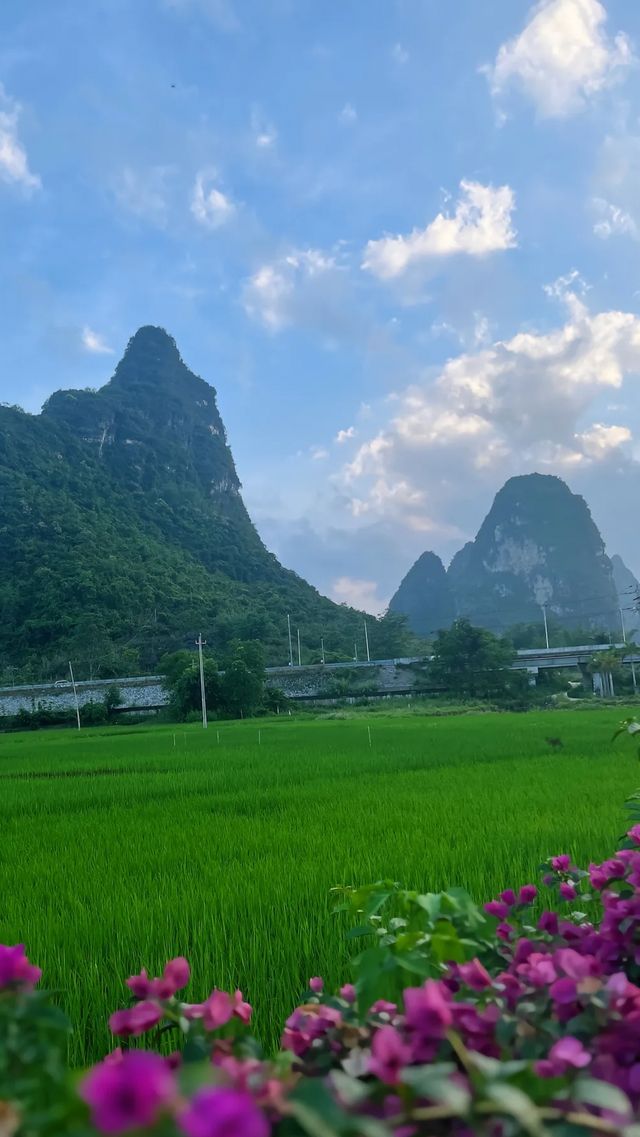 明仕田園私藏打卡位
