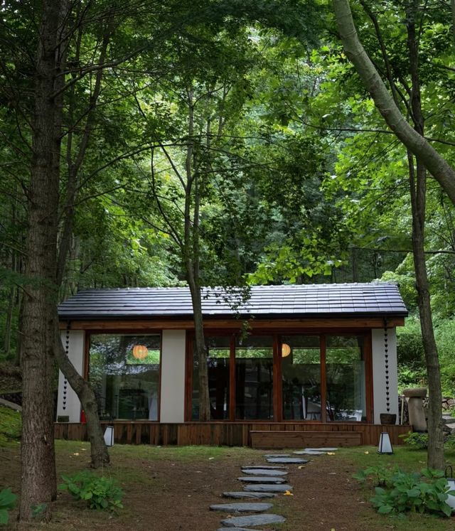 四明山新開嘅雲自泊民宿真係正到爆！夏日避暑首選