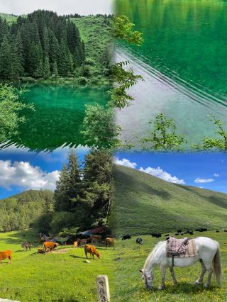 Just 2 hours from Chengdu! Songpan in July hides a 20°C summer, packing snow-capped mountains, grasslands, and flower fields all in one.