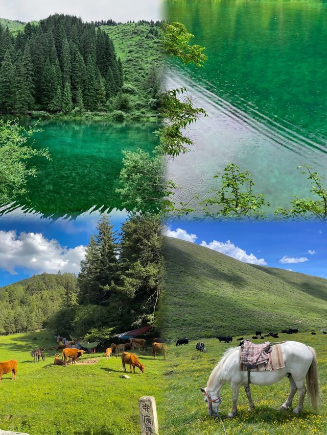 成都出發2小時！松潘7月藏住20℃嘅夏天，雪山草原花海一次過打包。