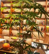 來婺源必住的絕美民宿花筑·婺源物外時光民宿真的太適合放空自己了！  這家藏在婺源景區裡的寶藏民宿，