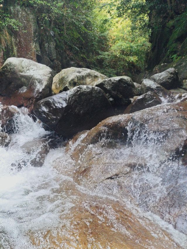夏日玩水必去！臨安蝴蝶谷溯溪攻略｜天然水上樂園