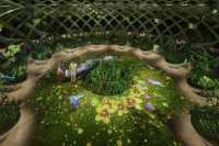 Free Sentosa Island Tour Exclusive for Changi Airport Transit
