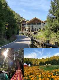 重慶森林氧吧！武陵山20℃避暑仙境 重慶周邊遊頂配攻略來