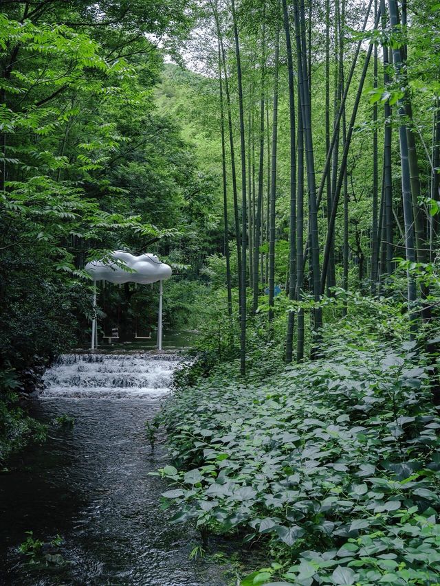 江南水鄉漫步指南
