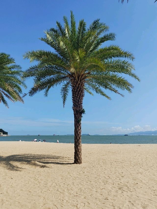 Xiamen Journey #xiamen #china