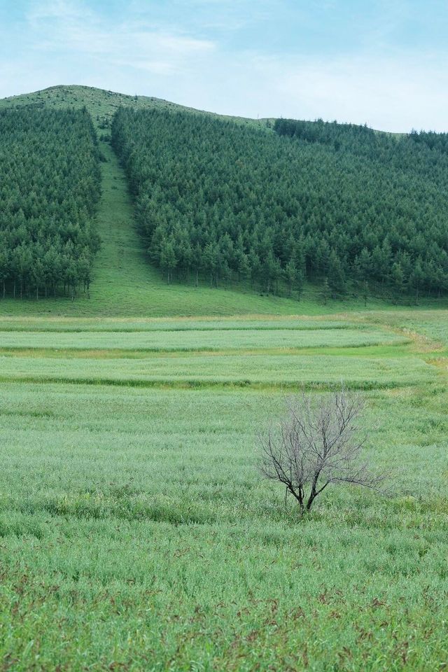 草原天路新秘徑，解鎖人少景美新體驗