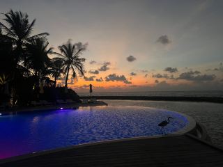Return to Paradise: Komandoo Delivers Again