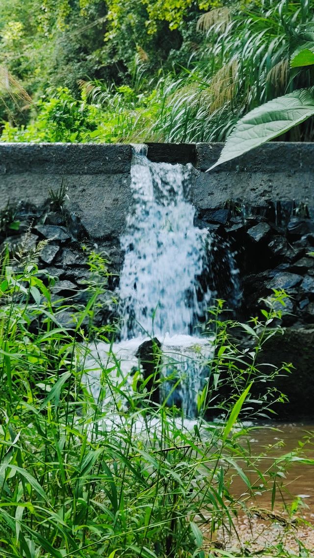 夏末藏著的清涼地！龍頸里踩水挖沙，孩子玩瘋大人放空～