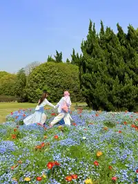 上海最好的公園都是免費的（合集附位置）