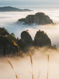 帶娃遊連城冠豸山｜輕鬆又好玩，親子週末首選！