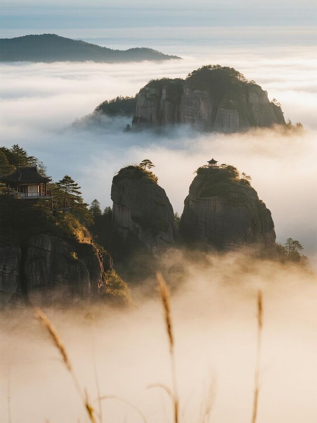 帶娃遊連城冠豸山｜輕鬆又好玩，親子週末首選！