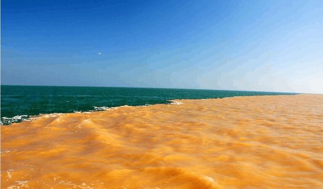 【震撼！你知道東營不僅是油城，更是「黃河的後花園」嗎？】