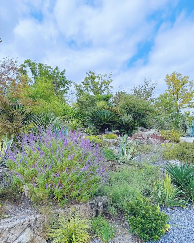 童話裡的小屋，上海植物園秋日兔子派對