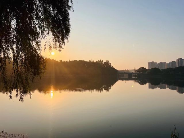 探秘復旦江灣校區！藏在校園裡的學術與浪漫交織的旅行勝地