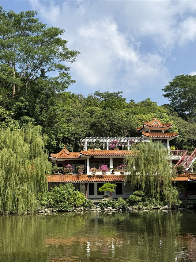 仙湖植物園：深圳綠肺，藏盡四季植物奇觀