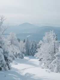 冬日北海道｜在雪與溫泉的童話裡，邂逅北國的溫柔詩篇