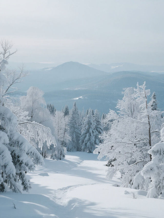 冬日北海道｜在雪與溫泉的童話裡，邂逅北國的溫柔詩篇