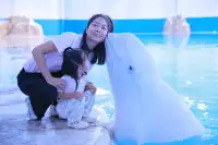 帶娃刷陵水，一定要說說的真實感受