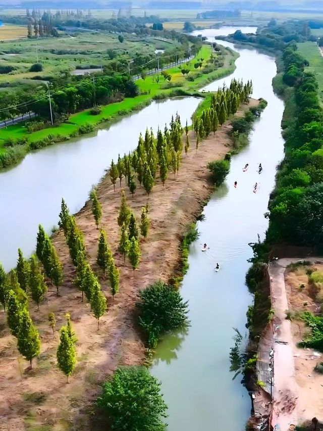 守著身邊景，便是好時光！