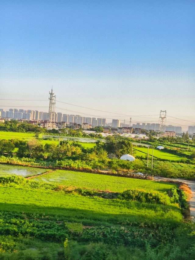 嘉興市    南湖區
