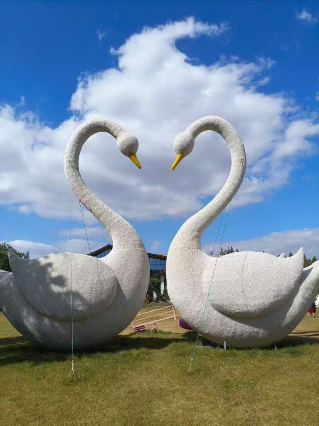 上海崇明東平國家森林公園 上海崇明東平國家森林公園