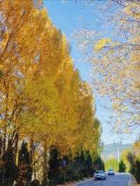 濟南捎近村漫遊攻略:藏在山谷裡的秋日秘境