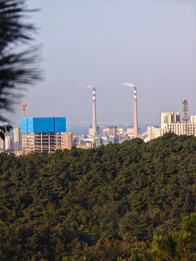 青島|寵物友好市區裡的吸氧遛娃寶地 青島|寵物友好市區裡的吸氧遛娃寶地