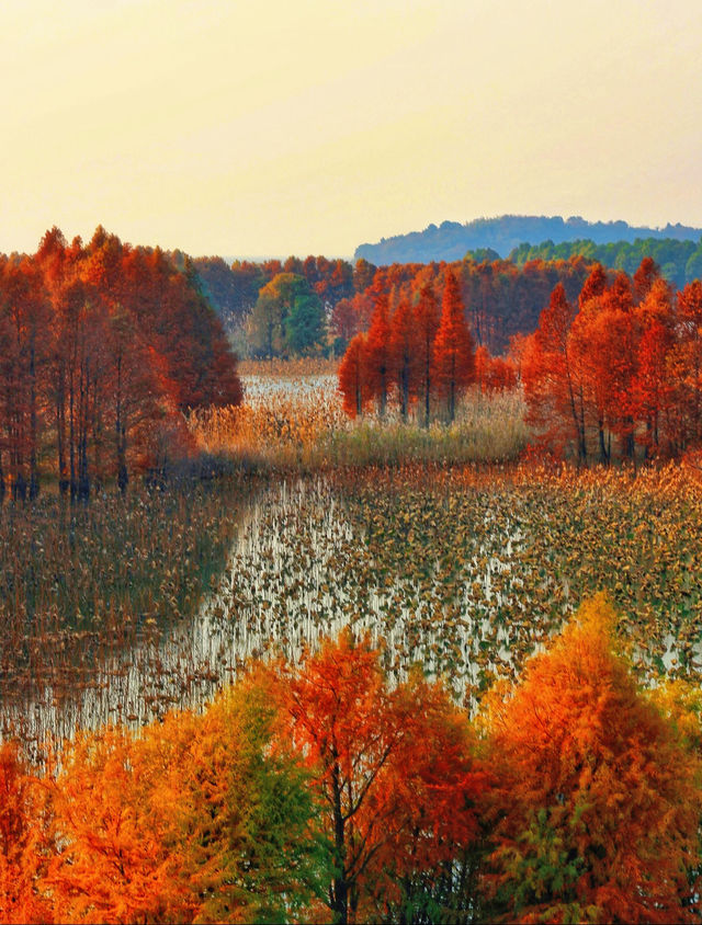 蘇州有自己的阿勒泰 蘇州有自己的阿勒泰