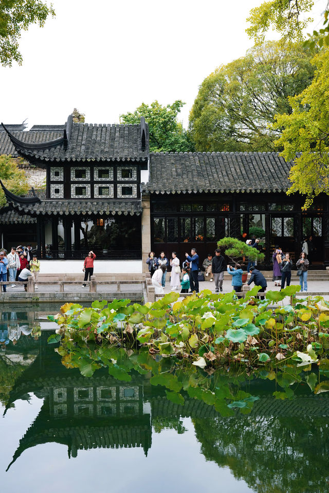 江南秋色藏留園讓人忍不住愛了又愛! 江南秋色藏留園讓人忍不住愛了又愛!