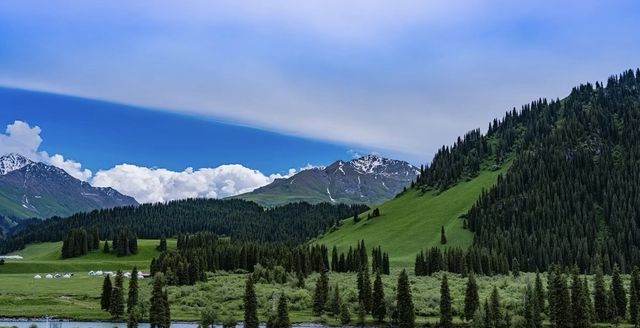 簡直震驚了 新疆這個小眾景點被我找到啦!唐布拉百里畫廊太美啦 簡直震驚了 新疆這個小眾景點被我找到啦!唐布拉百里畫廊太美啦