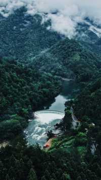 大紅袍品茶體驗