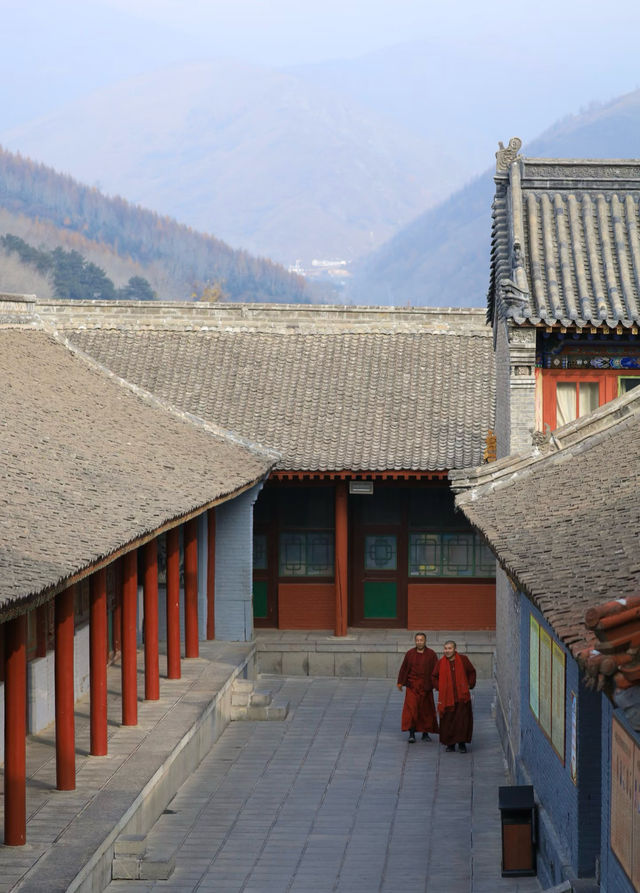 洗衣免費,鴻達酒店這波操作真係好貼地。 洗衣免費,鴻達酒店這波操作真係好貼地。