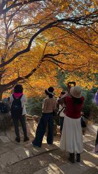 本週北京賞秋的尾巴，倒數計時！還有10處選擇