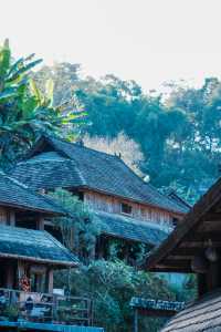 景邁山必打卡攻略|在雲海茶山中邂逅5個民族風情