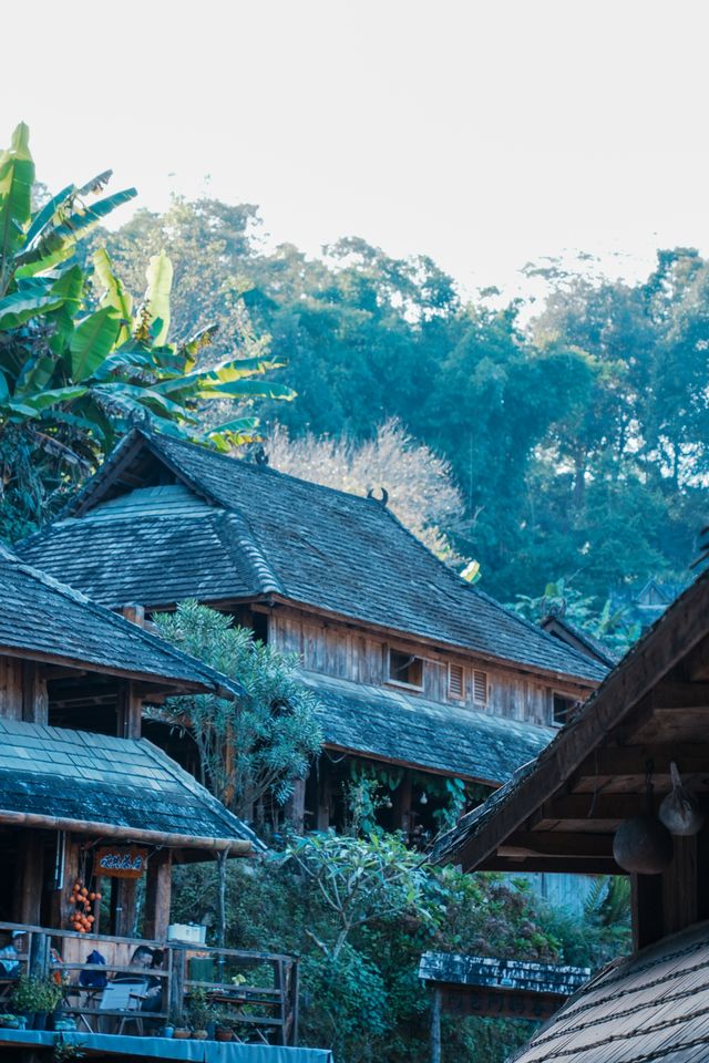 景邁山必打卡攻略|在雲海茶山中邂逅5個民族風情 景邁山必打卡攻略|在雲海茶山中邂逅5個民族風情