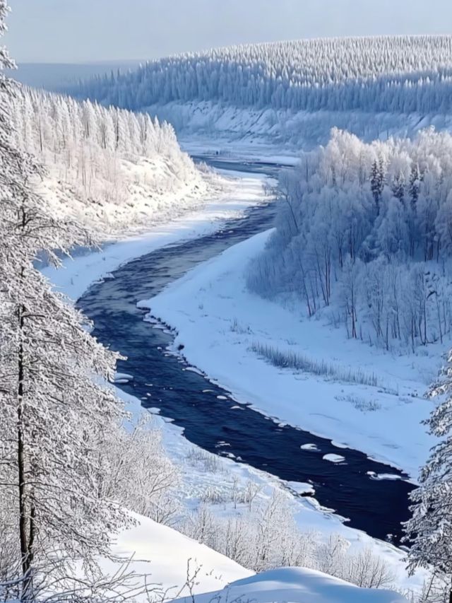 中國北極漠河｜10-4月極光機率拉滿！附人文+避坑攻略