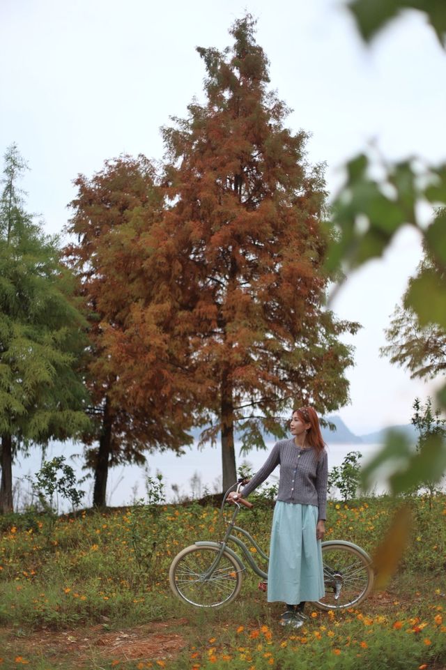 稱這裡為郴州版「洱海」一點也不假……