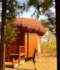 初冬限定洪澤湖濕地絕美勝境|小眾仙境打卡指南