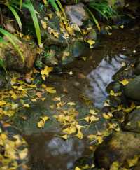 稷山八泉峽旅遊團