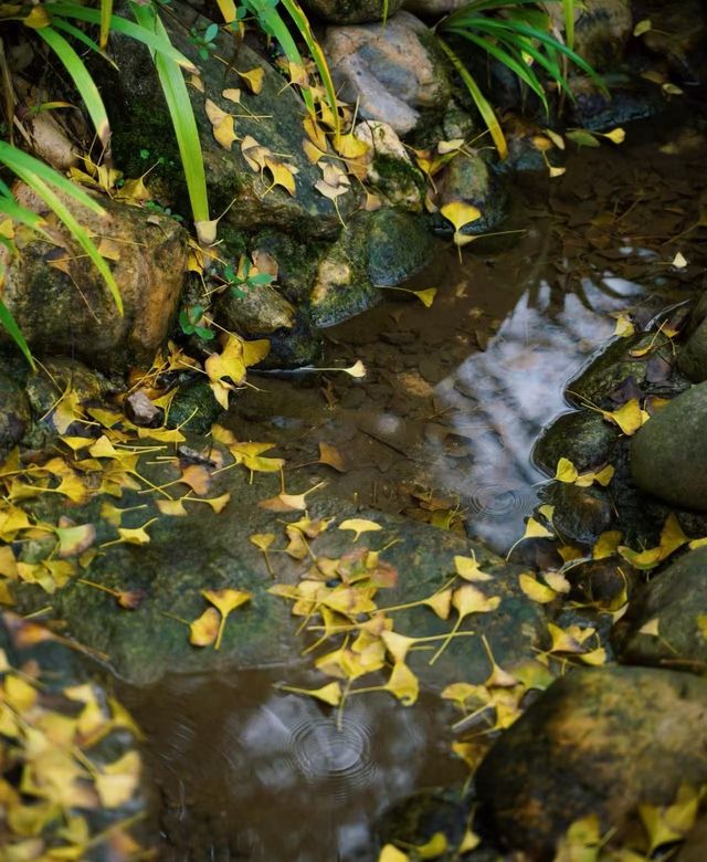 稷山八泉峽旅遊團 稷山八泉峽旅遊團