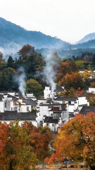 November | Real shot of morning mist in Lucun, the autumn scenery is stunning