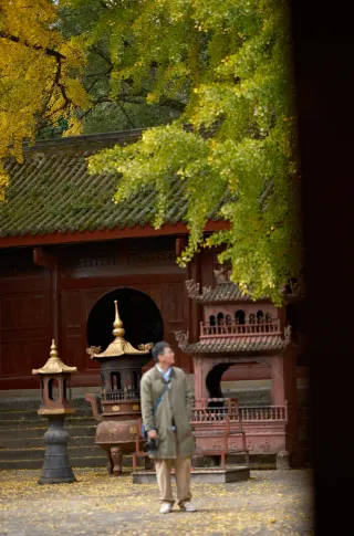Mianyang Bandeng Temple: A Timeless Story Among the Half-Golden Ginkgo Trees