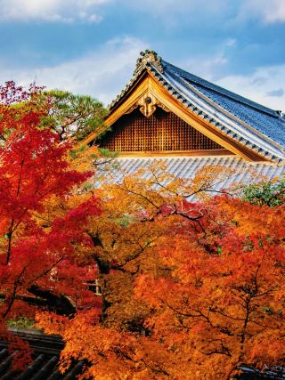 Eikan-do Temple's Sea of Autumn Leaves: A Must-Visit Spot