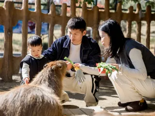Nantong Sendi Zoo Family Trip