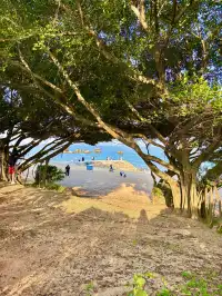 廈門11月15日現況，誰懂今天的天氣含金量！！