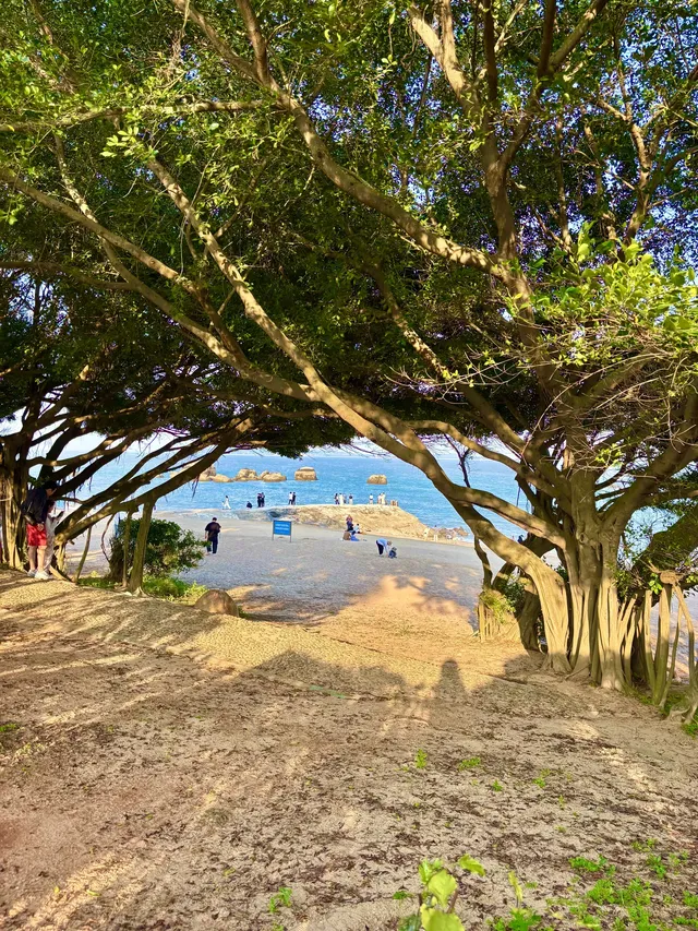 廈門11月15日現況，誰懂今天的天氣含金量！！