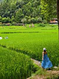 肇興侗寨&堂安梯田|人均800三天兩晚