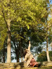 11.20實拍，武漢市中心看銀杏就這裡人最少